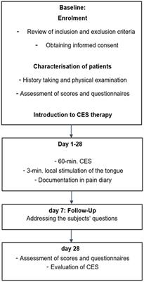 Efficacy of cranial electrotherapy stimulation in patients with burning mouth syndrome: a randomized, controlled, double-blind pilot study